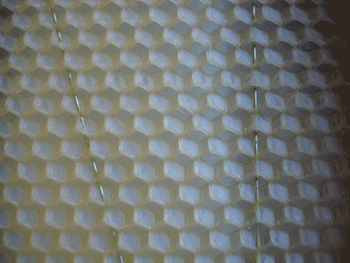 Wax foundation to help honey bees start nest